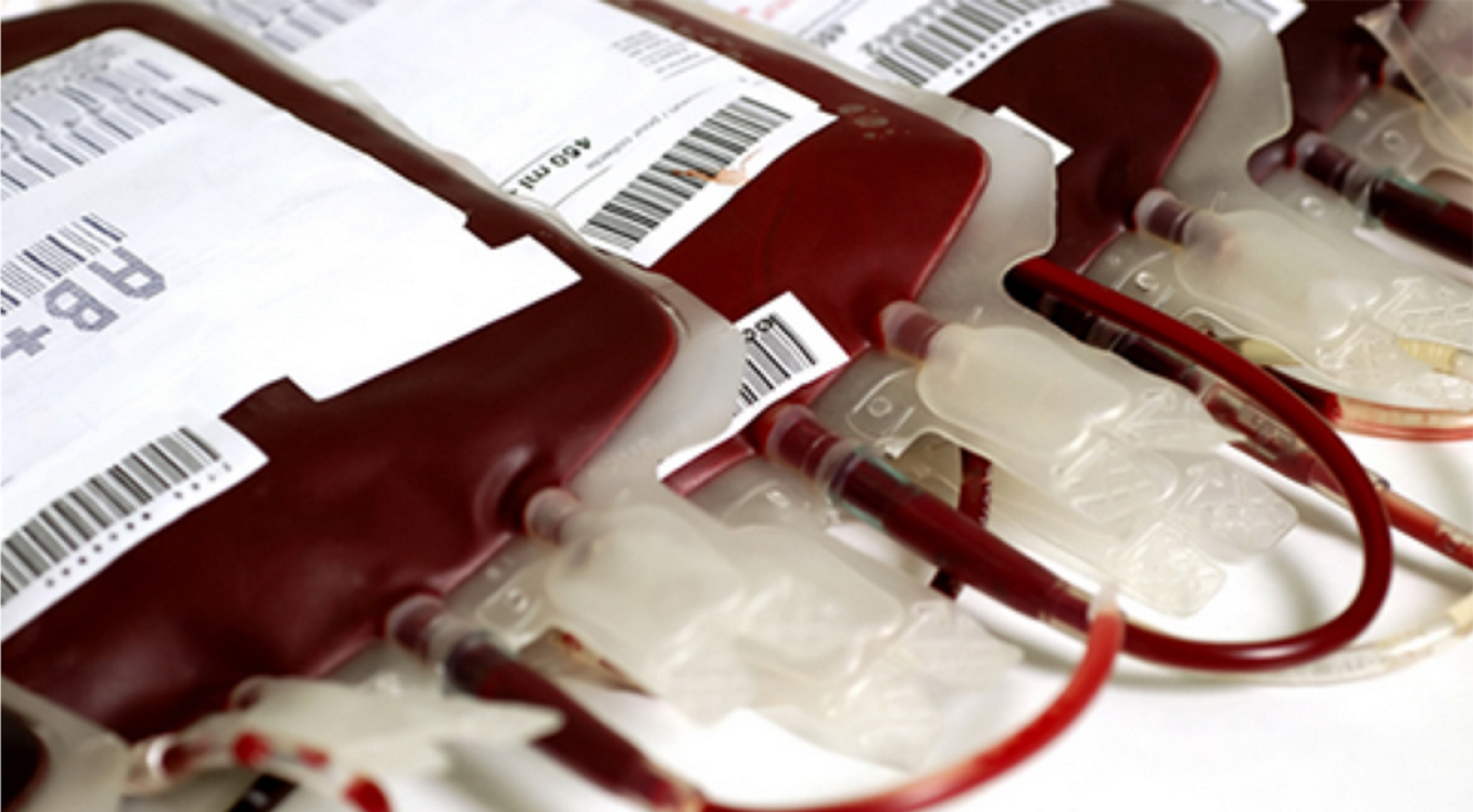 Dia do Doador Voluntário de Sangue